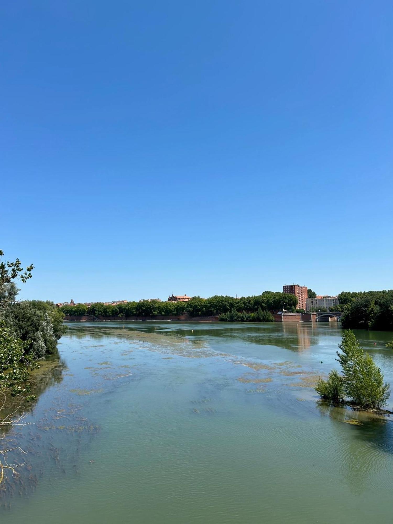 Loft Garonne - Centre Ville Immeuble Privatif Toulouse Exterior photo