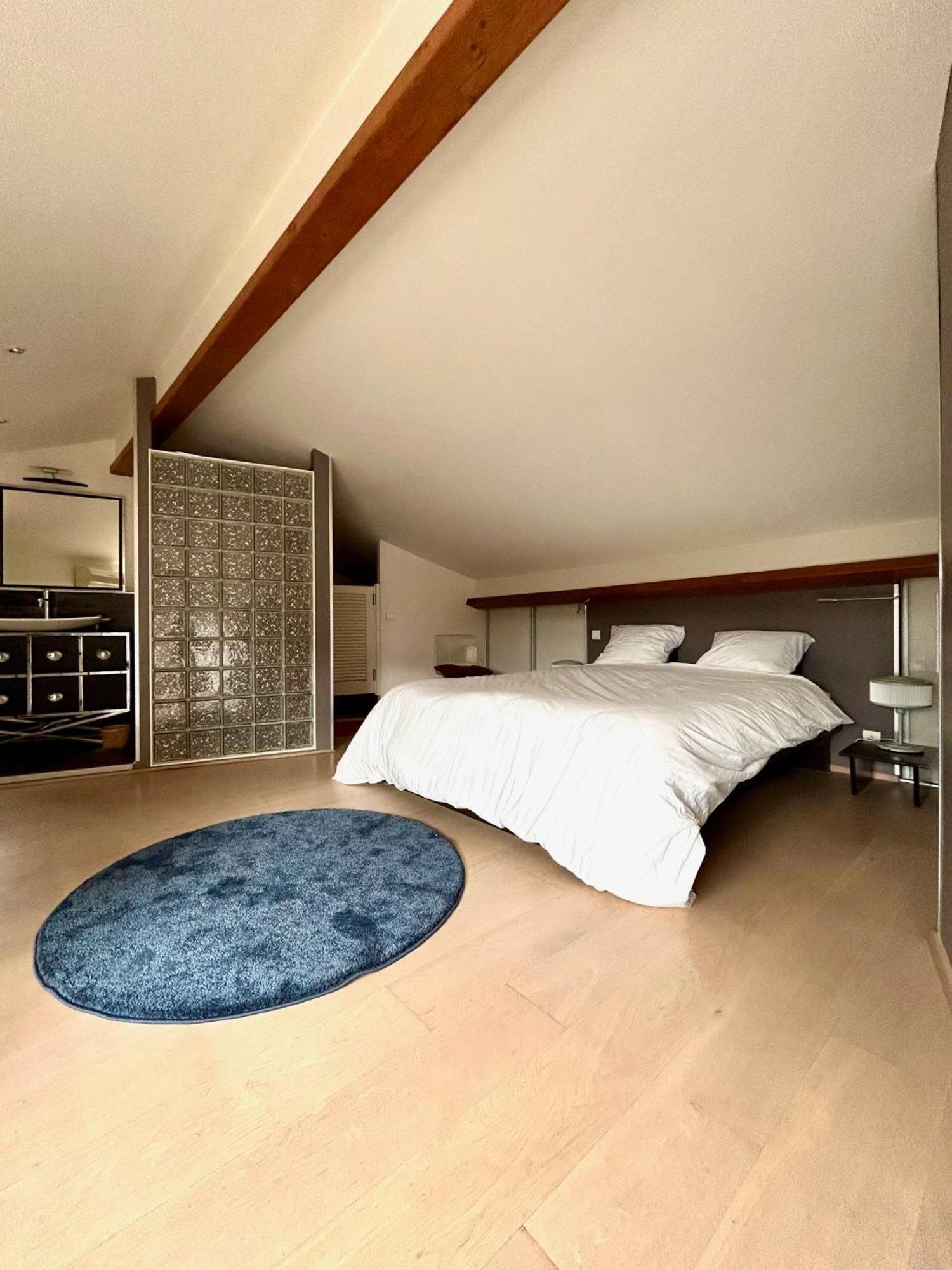 Loft Garonne - Centre Ville Immeuble Privatif Toulouse Exterior photo